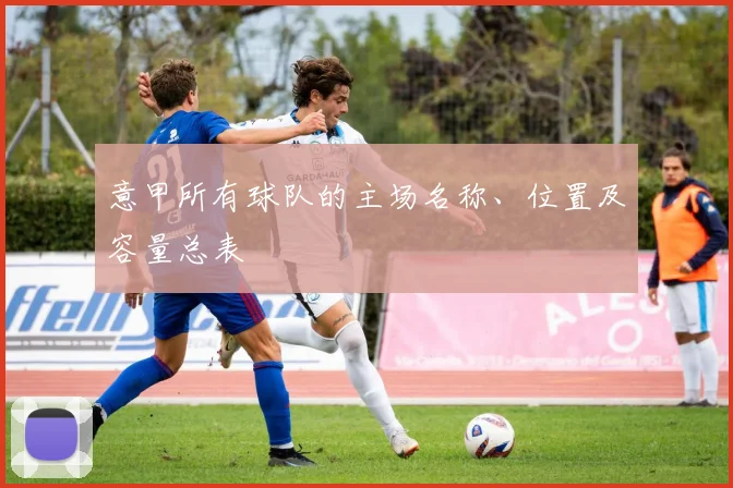 意甲所有球队的主场名称、位置及容量总表